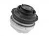 Support moteur Engine Mount:202 240 21 17