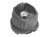 悬架衬套 Control Arm Bushing:210 351 05 42